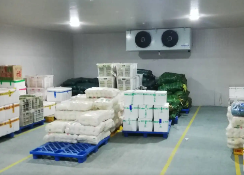 地瓜冷庫 地瓜冷庫