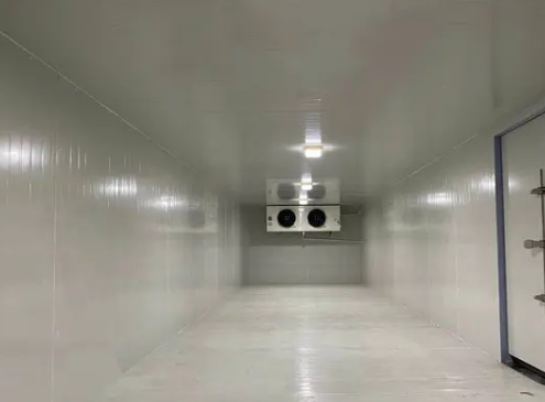 蔬菜保鮮冷庫 蔬菜保鮮冷庫