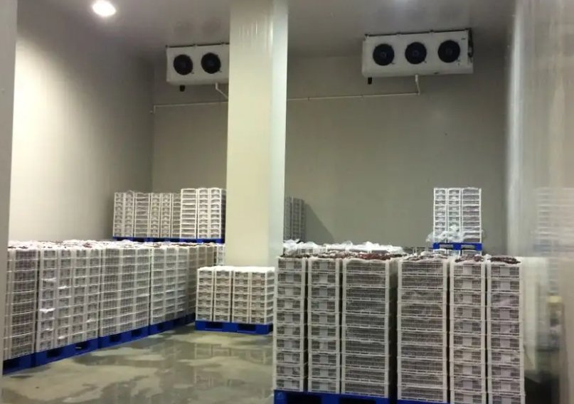 冷庫(kù)設(shè)計(jì)