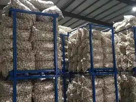 建一個(gè)500噸大蒜冷庫(kù)一平米需要多少錢 建一個(gè)500噸大蒜冷庫(kù)一平米需要多少錢