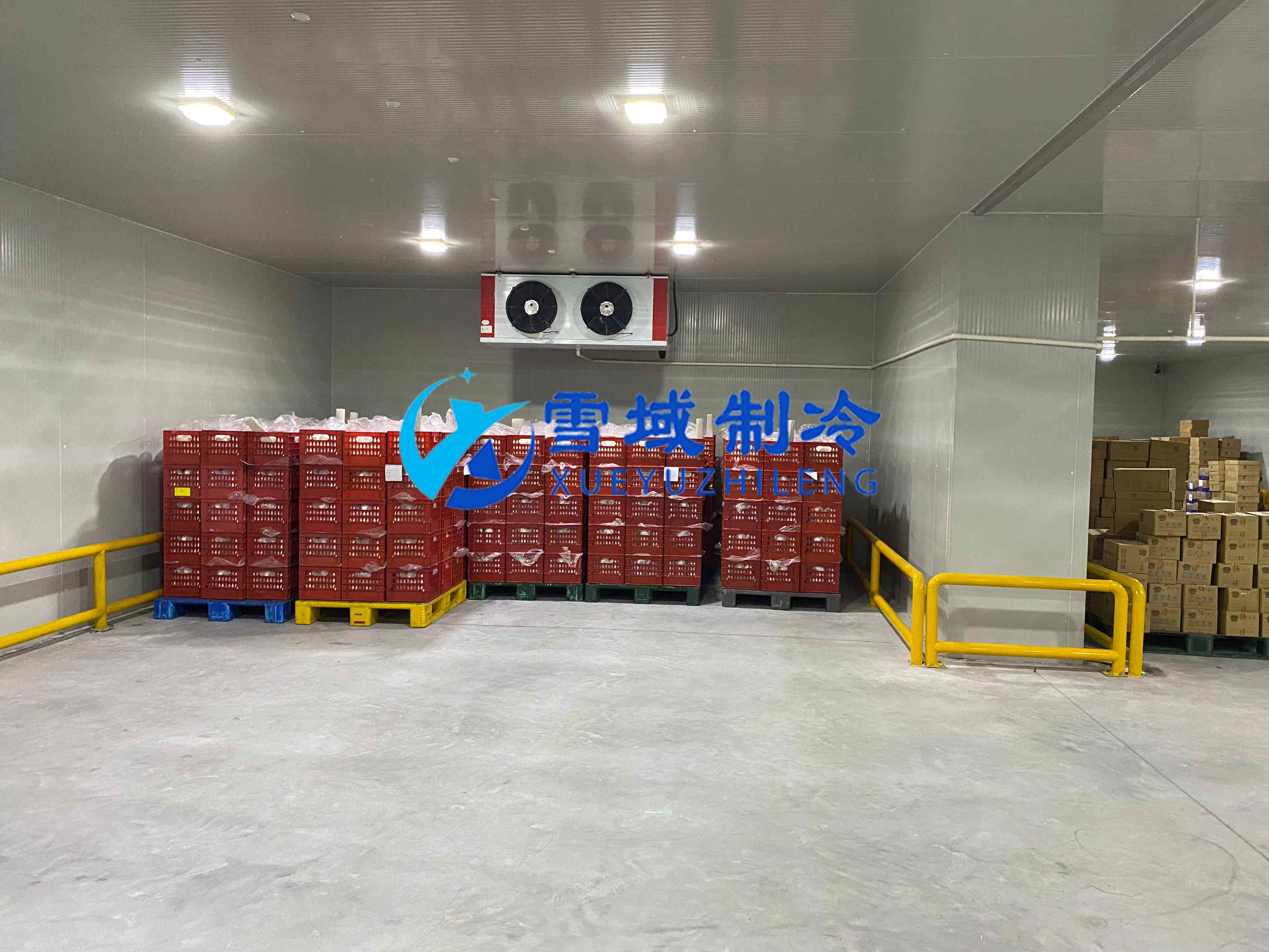 南京江寧速凍乳品冷庫現場圖片 南京江寧速凍乳品冷庫現場圖片