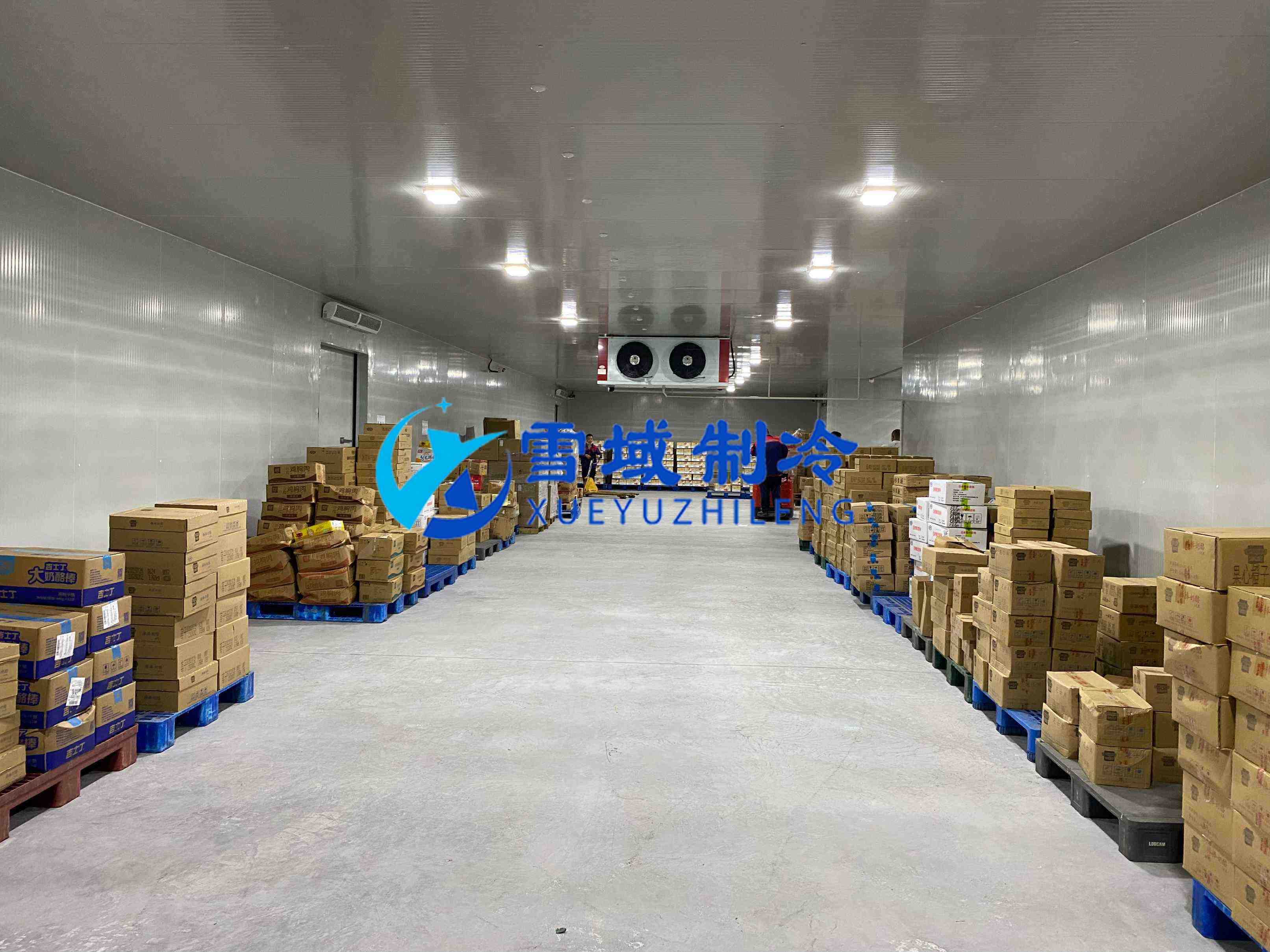 南京江寧速凍乳品冷庫現場圖片 南京江寧速凍乳品冷庫現場圖片