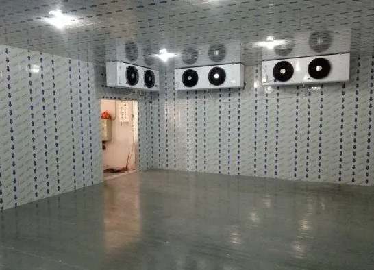 冷庫建設成本一平米需要多少預算 冷庫建設成本一平米需要多少預算