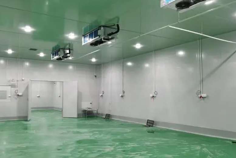 建300平米的冷庫需要多少錢