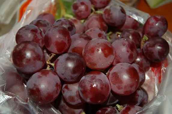 建造提子氣調(diào)保鮮庫(kù)一平米多少錢 建造提子氣調(diào)保鮮庫(kù)一平米多少錢