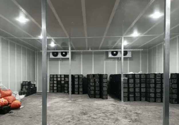 建設黃瓜氣調(diào)冷庫多少錢一平米