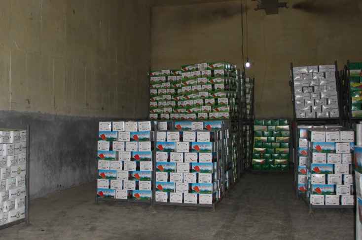 安裝100噸冷庫價格多少錢 安裝100噸冷庫價格多少錢