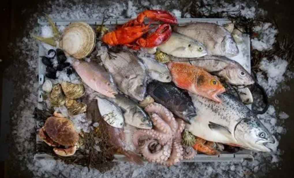 零下60度海鮮速凍冷庫需要多少錢 零下60度海鮮速凍冷庫需要多少錢