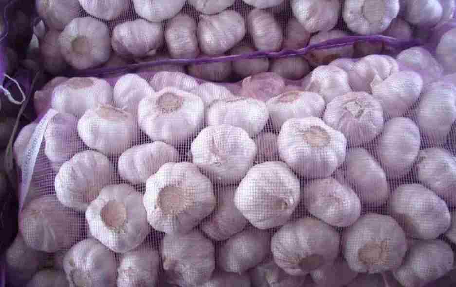 搭建一個(gè)儲存大蒜的冷庫造價(jià)多少錢