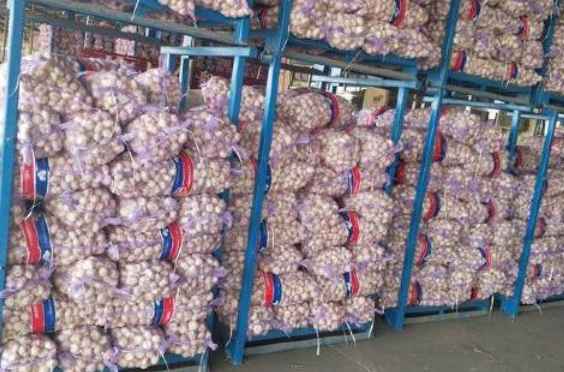 搭建一個(gè)儲存大蒜的冷庫造價(jià)多少錢