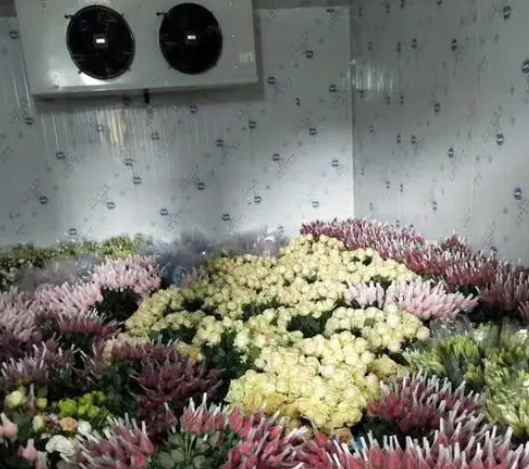 安裝一個(gè)花店冷庫(kù)大約需要多少錢