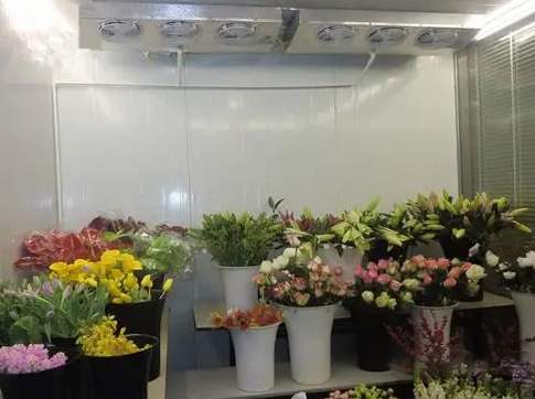 安裝一個(gè)花店冷庫(kù)大約需要多少錢