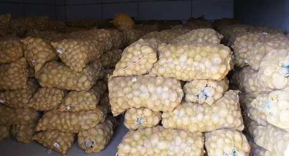 建造150平方米土豆冷庫需要多少錢 建造150平方米土豆冷庫需要多少錢