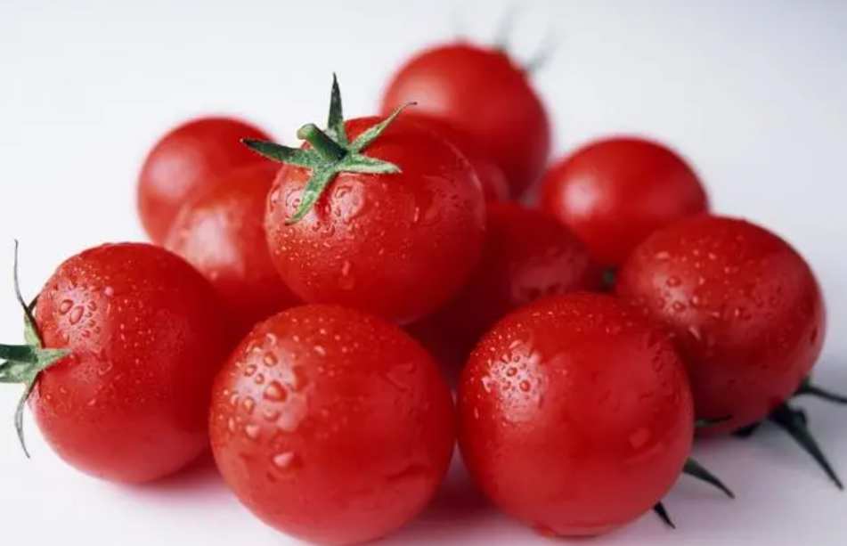 西紅柿氣調冷庫保鮮儲存方法講解