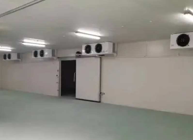 建一個(gè)5000噸的海鮮冷庫要多少錢