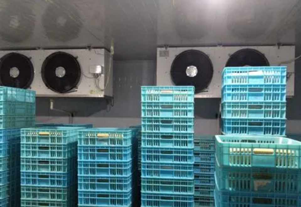 速凍庫多少錢一個(gè)平方米 速凍庫多少錢一個(gè)平方米