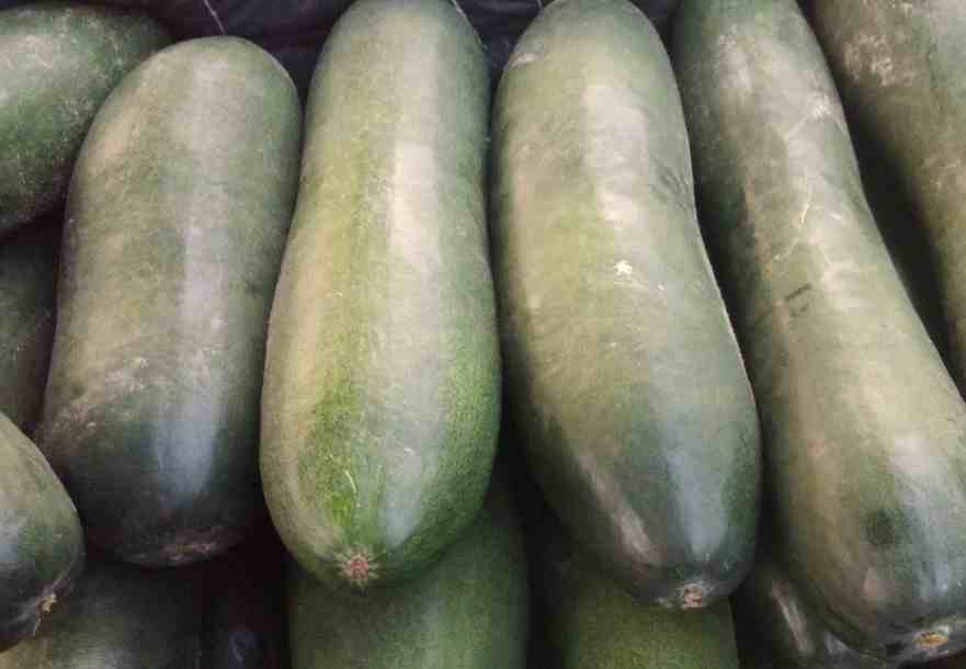 安裝30立方冬瓜冷庫多少錢 安裝30立方冬瓜冷庫多少錢