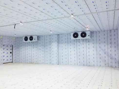 建一個(gè)5000噸的海鮮冷庫要多少錢