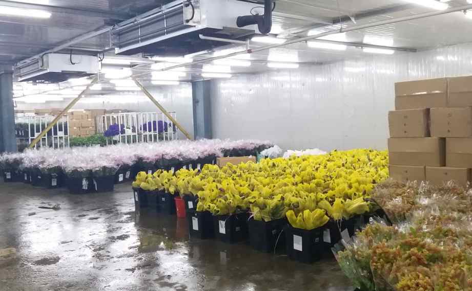 冷庫制冷工作原理是什么