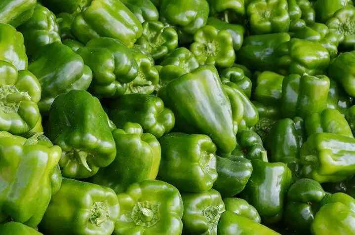 甜椒冷庫存儲(chǔ)溫度要求？