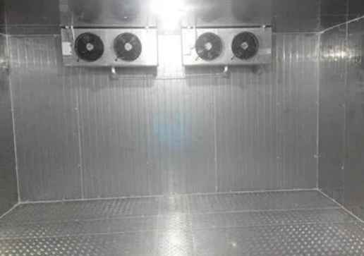 建一個(gè)帶魚(yú)冷凍庫(kù)需要多少錢(qián)