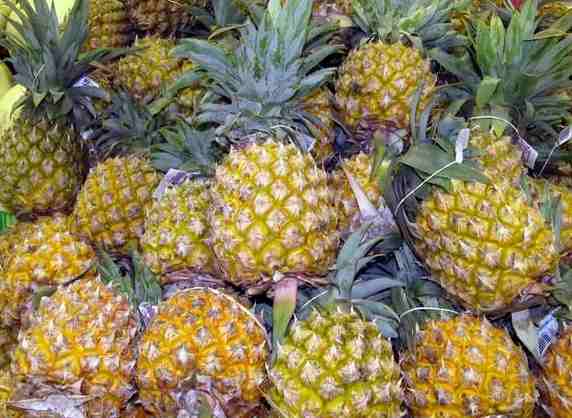 安裝菠蘿氣調(diào)冷庫多少錢 安裝菠蘿氣調(diào)冷庫多少錢