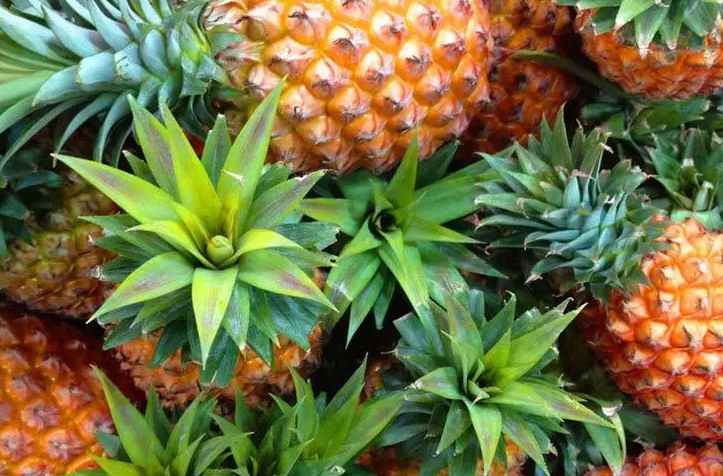 安裝菠蘿氣調(diào)冷庫多少錢 安裝菠蘿氣調(diào)冷庫多少錢