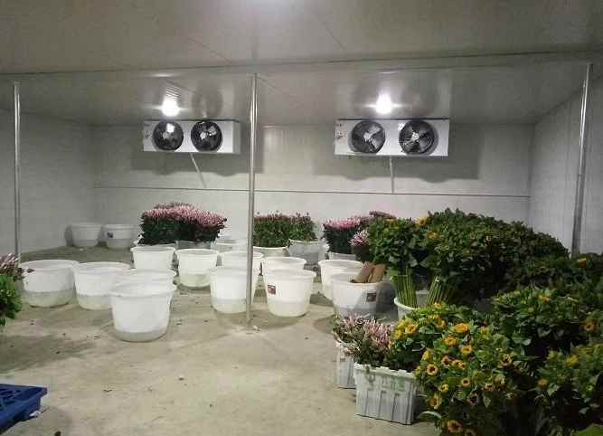 建一個(gè)15平的鮮花冷庫(kù)要多少錢(qián)