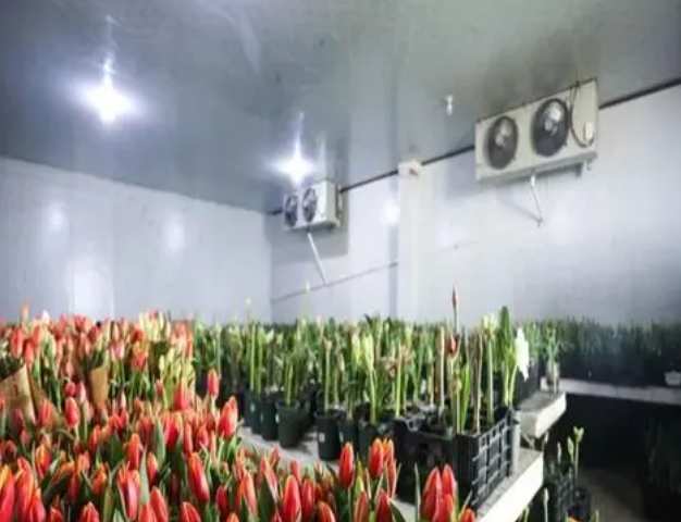 建一個(gè)15平的鮮花冷庫(kù)要多少錢(qián)