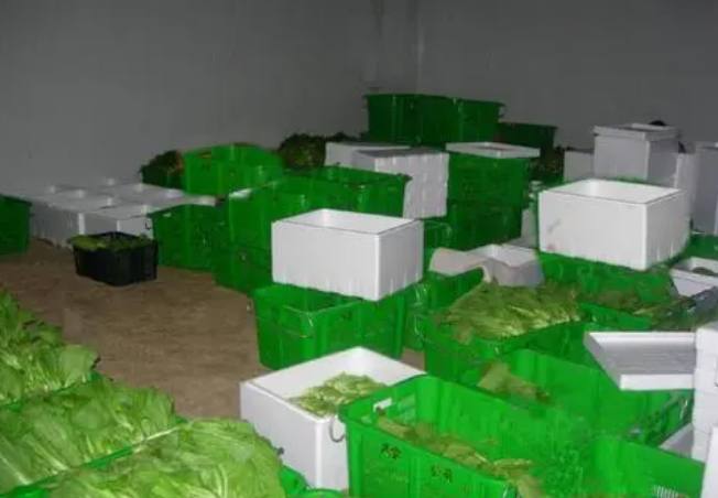 青菜在保鮮庫能保存多久 青菜在保鮮庫能保存多久