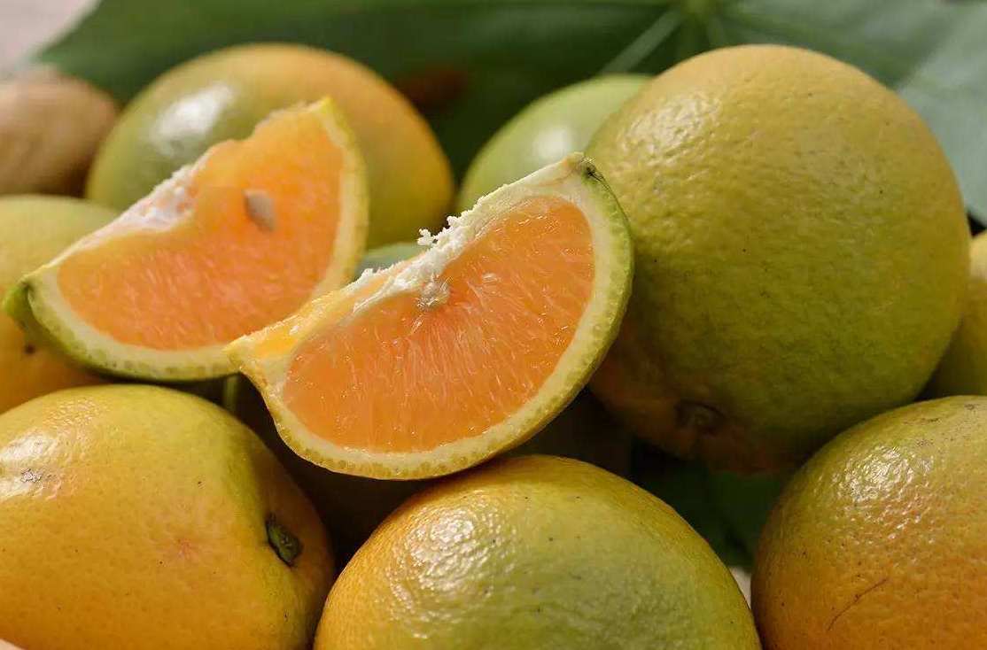 橙子氣調冷庫能保鮮多久 橙子氣調冷庫能保鮮多久