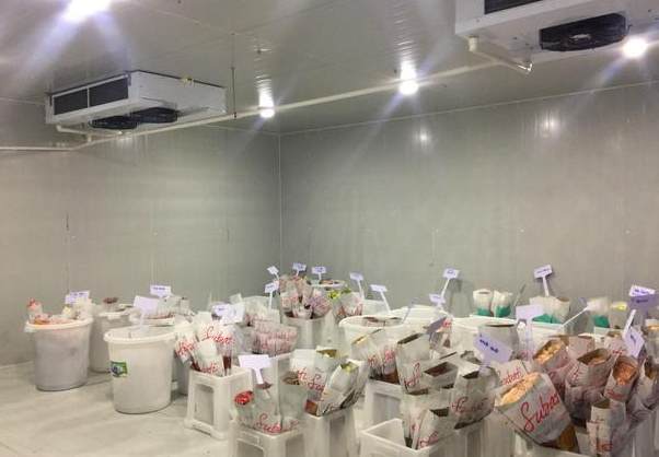 花卉小型冷庫建設(shè)多少錢一平方 花卉小型冷庫建設(shè)多少錢一平方