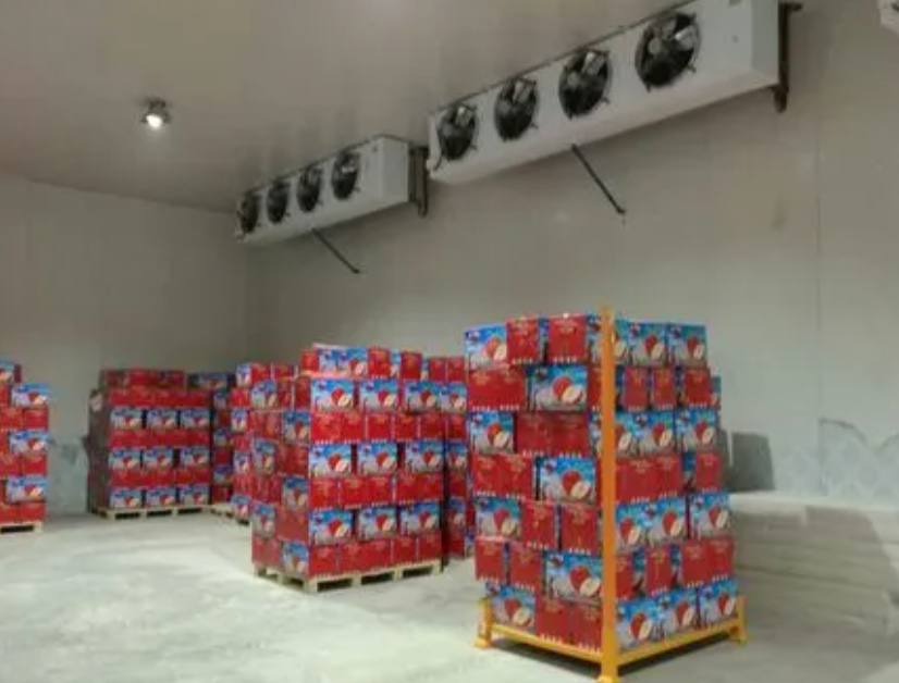 儲存蘋果的冷庫如何建造 儲存蘋果的冷庫如何建造