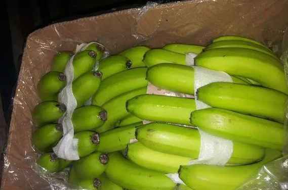 建設(shè)50平方的香蕉冷庫(kù)要多少錢