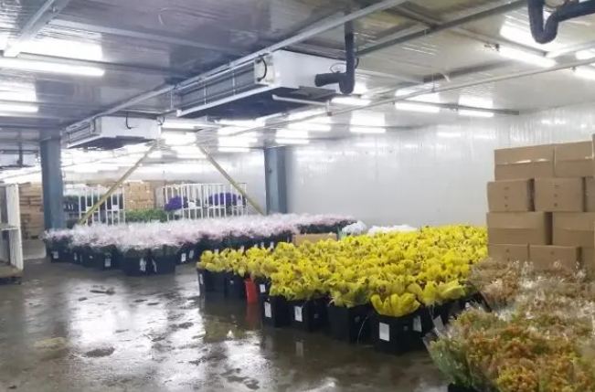 杭州冷庫(kù)安裝公司如何選擇 杭州冷庫(kù)安裝公司如何選擇