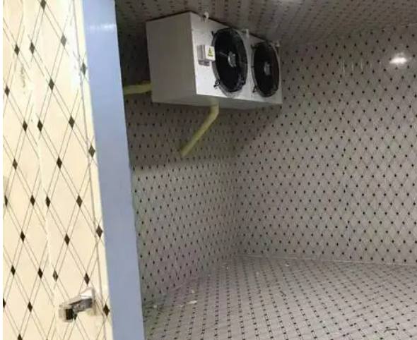 5千元能造一個(gè)小冷庫嗎