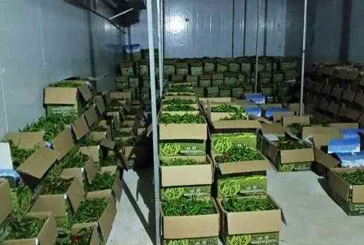 冷庫能使用泡沫板搭建嗎 冷庫能使用泡沫板搭建嗎