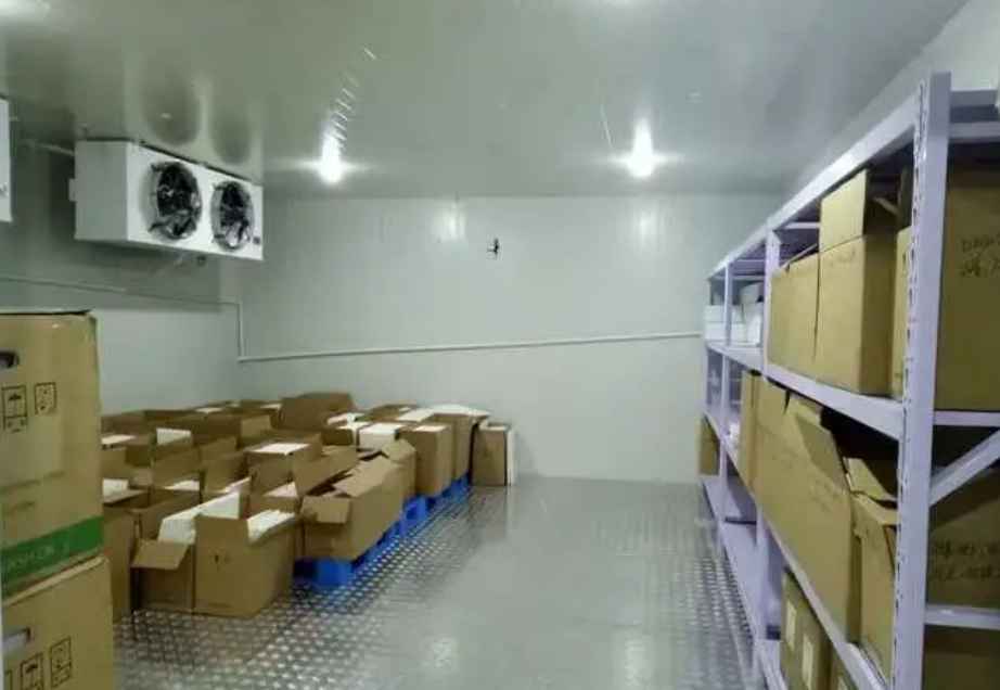 水果保鮮庫的建設價格是多少？