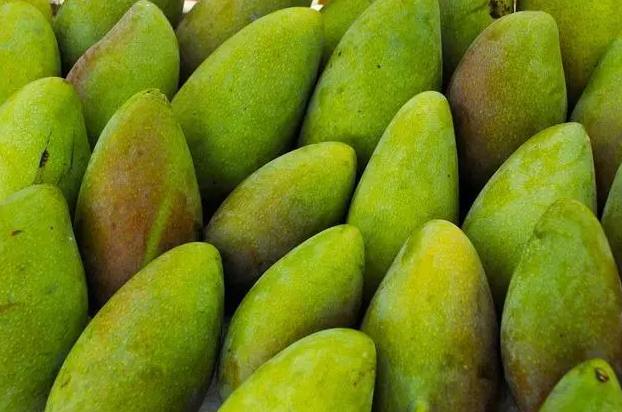 建一個200噸芒果保鮮庫多少錢 建一個200噸芒果保鮮庫多少錢