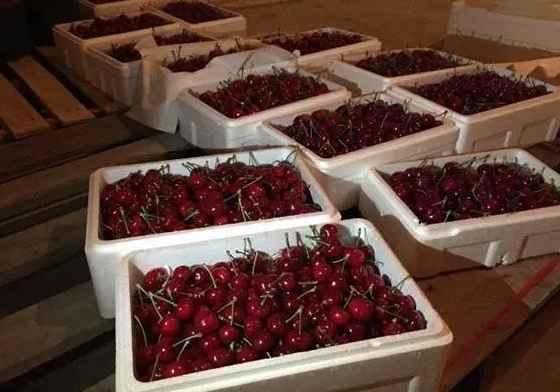 建600平米櫻桃氣調(diào)冷庫(kù)大概多少錢 建600平米櫻桃氣調(diào)冷庫(kù)大概多少錢