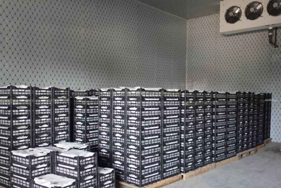 冷庫門密封效果維護和修理辦法？